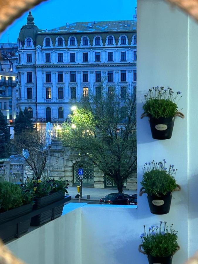 City View بوخارست المظهر الخارجي الصورة